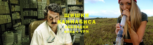 прущие грибы Армянск