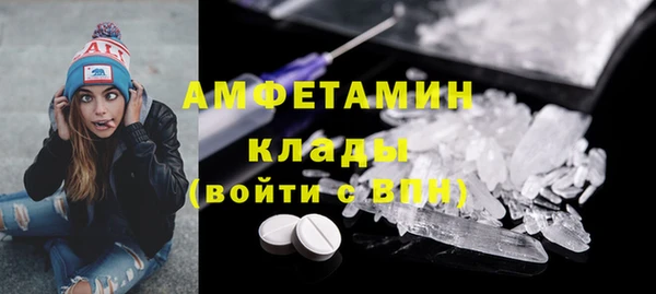 прущие грибы Армянск