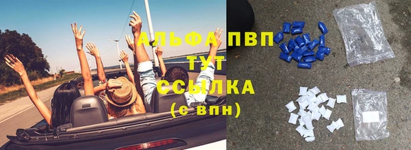прущие грибы Армянск