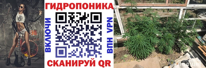 МЕГА зеркало  Медногорск  МАРИХУАНА ГИДРОПОН  где можно купить наркотик 